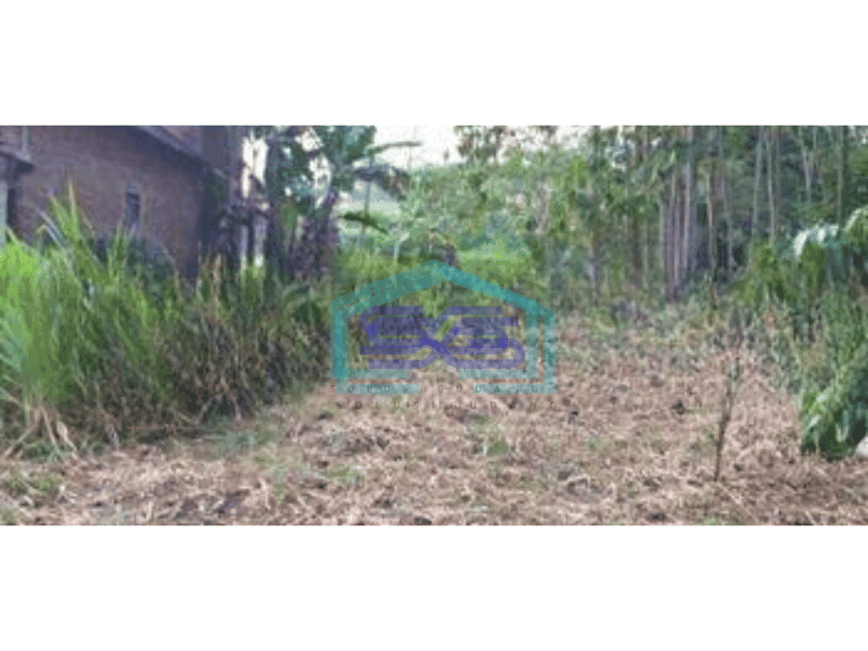 Dijual Tanah Shm Tirtomoyo Malang Jawa Timur