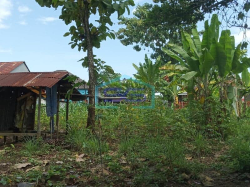 Dijual Tanah di Lubuk Linggau, Sumatera Selatan Luas Tanah 1481m2