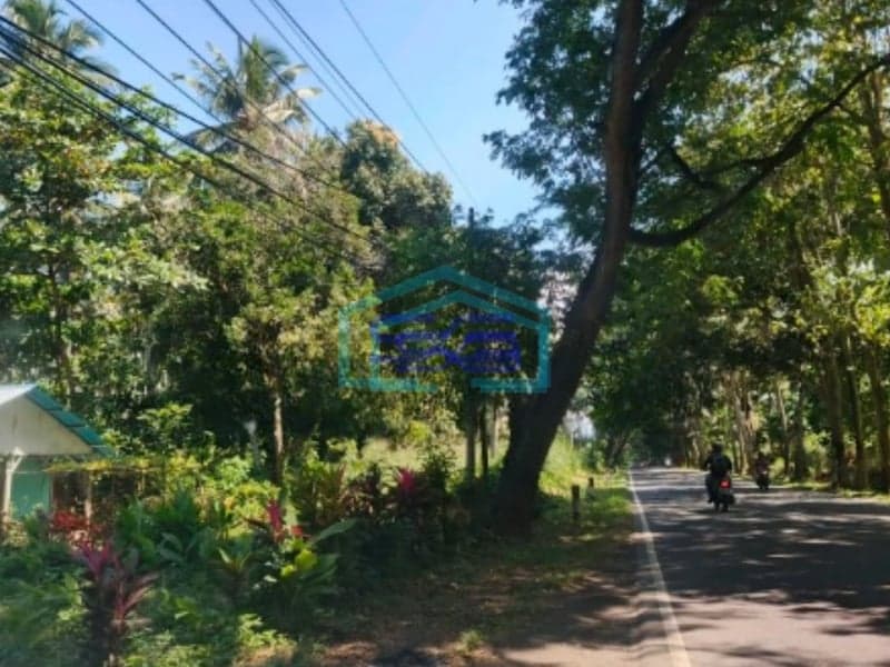 Dijual Tanah 1,1h Jl 46 Kota Bitung Dekat Pelabuhan Pas Buat Gudang Madidir, Bitung Luas Tanah (PxL)  11000 m