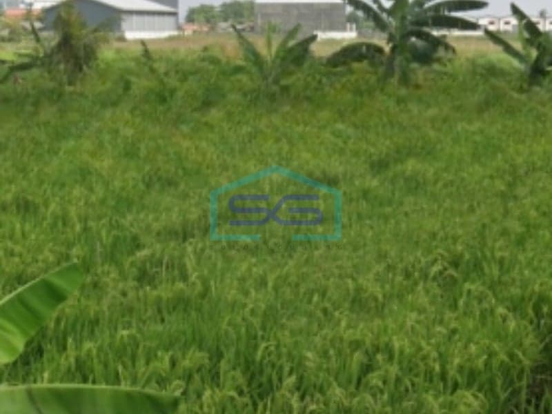 Dijual Tanah Sertifikat SHM Lokasi di Tangerang Banten