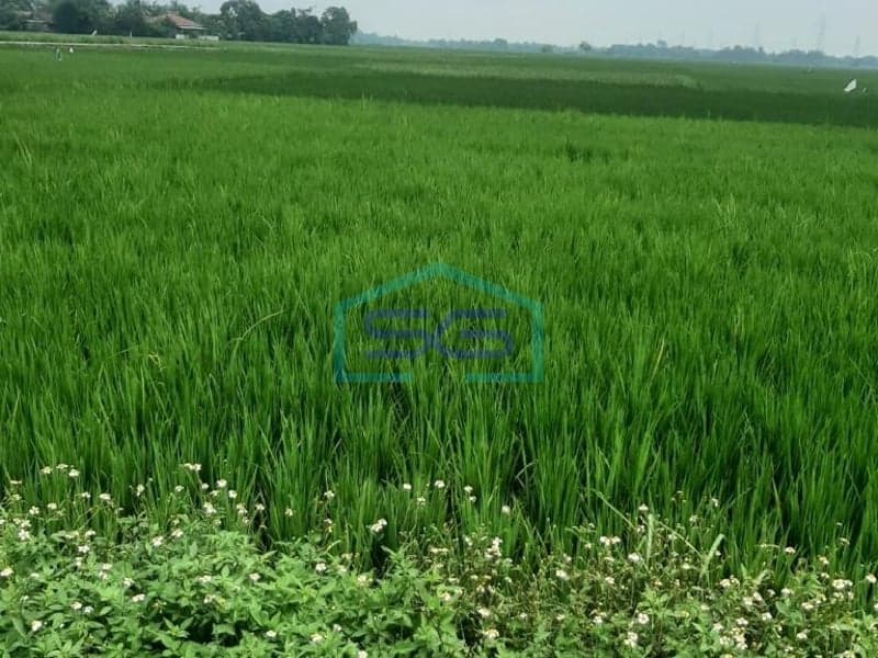 KAVLING DIJUAL DAERAH CIKANDE