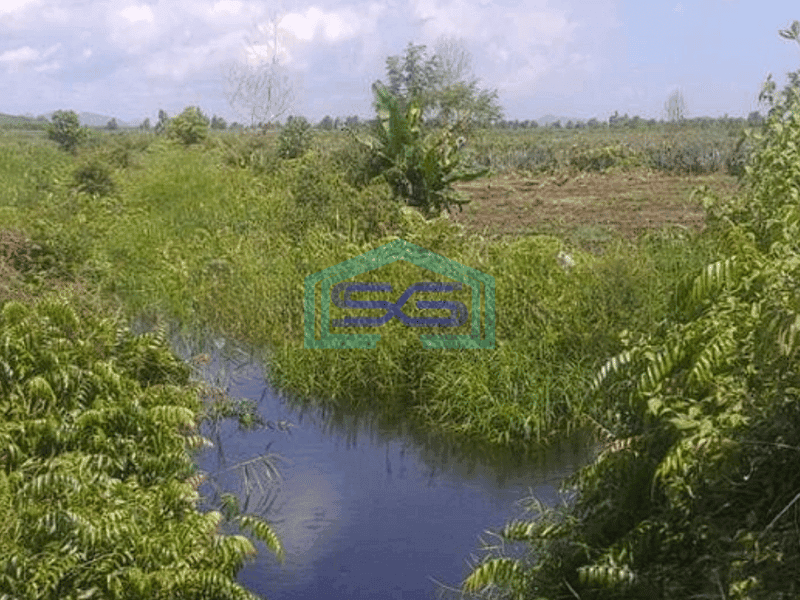 Dijual  Tanah Strategis Di Pinggir Kota Singkawang Kalimantan Barat LT 20000m2