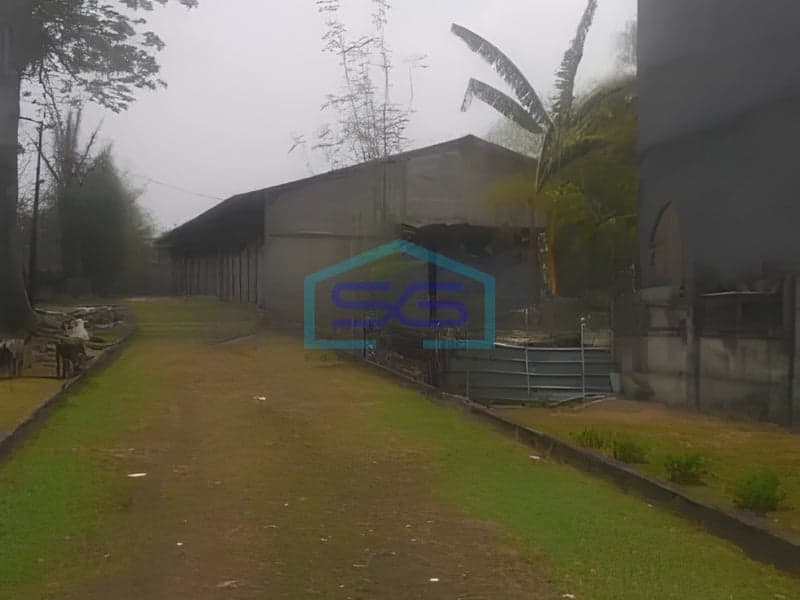 Dijual Turun Harga Gudang di Jalan Utama Cileungsi, Bogor Jawa Barat Luas Tanah 10770m²