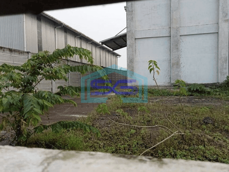 Disewakan Gudang 5000 m² di Kawasan Modern Cikande