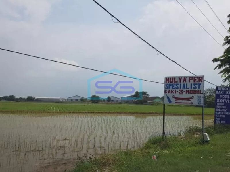 Dijual Tanah Lahan di jl marunda raya sebelum jembatan marunda center luas 64 ha shm