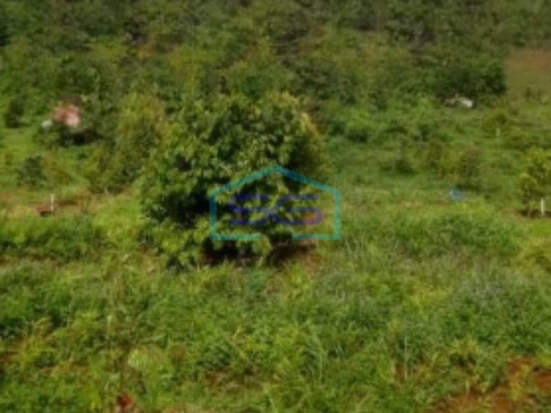 Dijual Tanah Luas 800000 m² Lokasi Subang Jawa Barat Sertifikat SHM