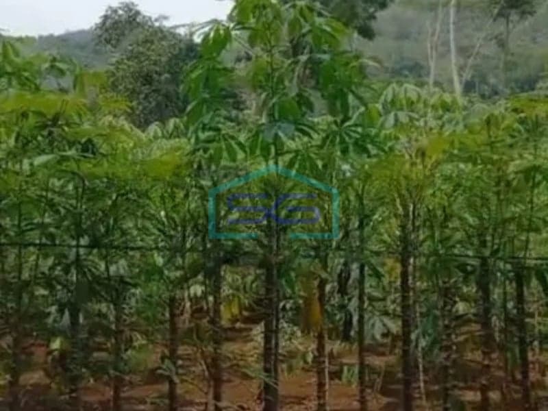 Dijual Tanah Kavling Dekat Jalan Raya Sukabumi Jawa Barat Luas Tanah 25000 m²