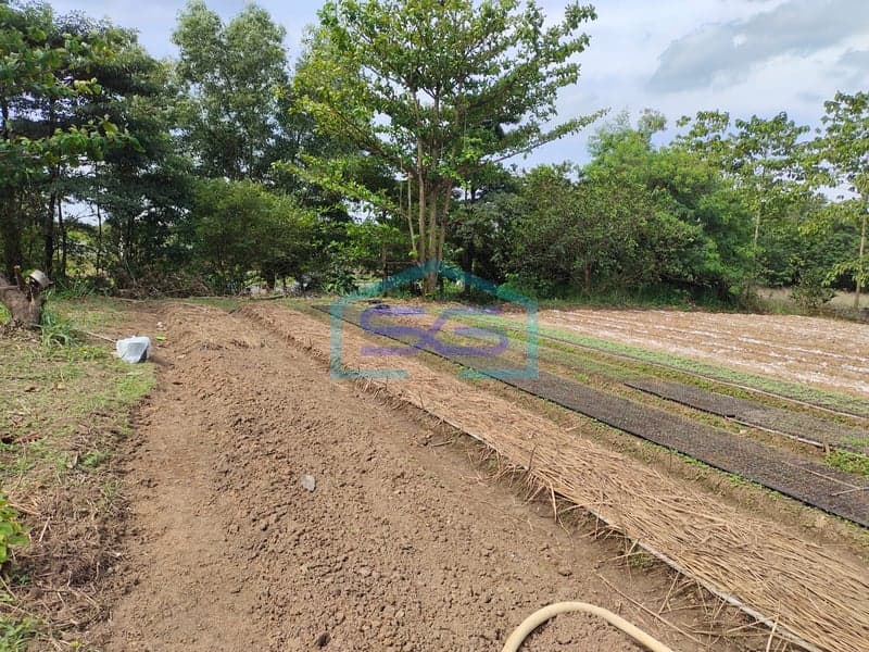 Dijual Tanah Sako Palembang Luas 21270m2 Sumatera Selatan