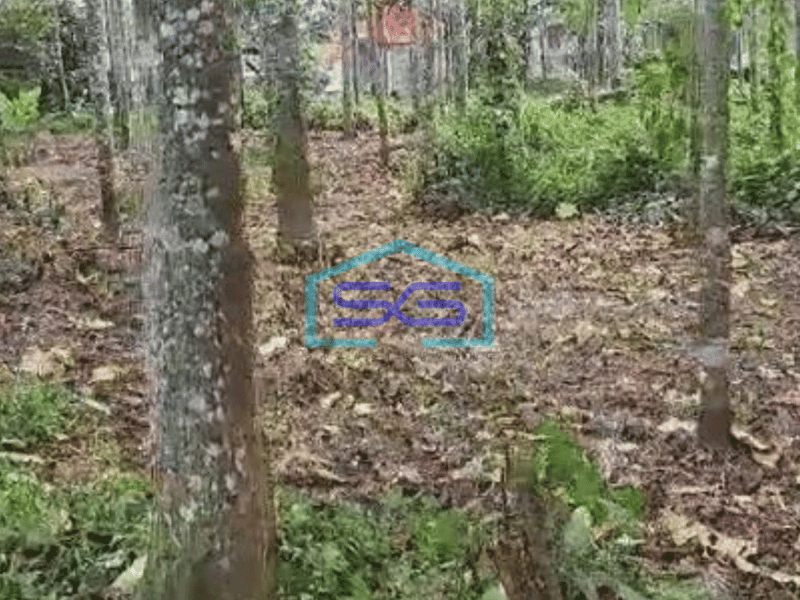 Dijual Tanah Cocok Untuk Gudang di Serdang Wetan