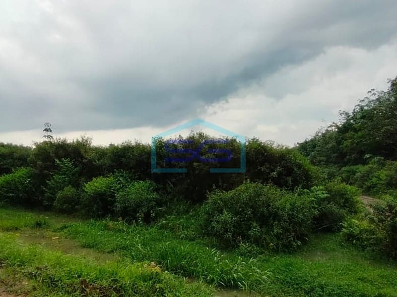 Dijual Tanah di Daerah Kab. Banyuasin, Sumatera Selatan 110000 m2