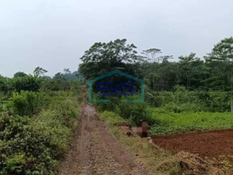 Dijual Tanah Dekat Industrial Park di Batang, Jawa Tengah Dengan Luas 10800 m²