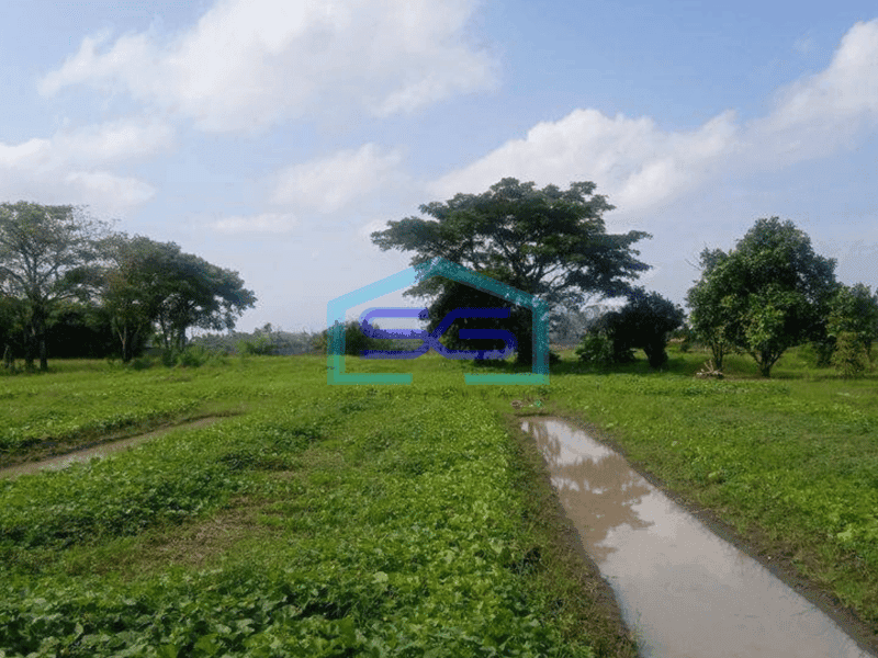 Dijual Tanah 15.229m Sepatan Tangerang