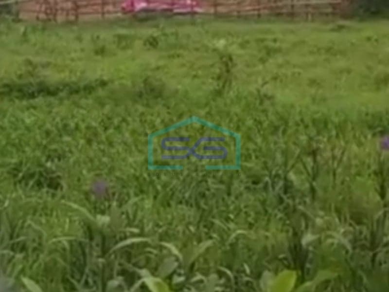 Dijual Tanah Luas 43000 m² Sertifikat SHM Lokasi di Tangerang Banten