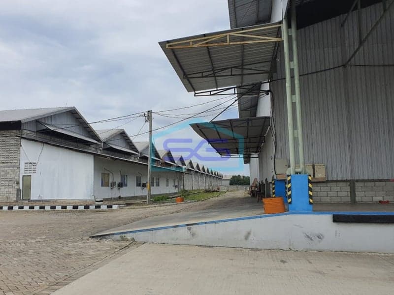 Disewakan Gudang Karawang Barat dkt KIIC Karawang Termurah