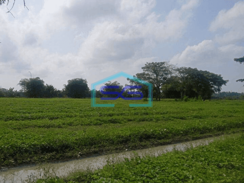 Dijual Tanah 15.229meter Sepatan Tangerang