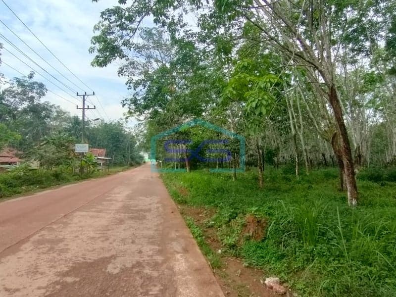 Dijual Tanah Kebun di Kota Palembang, Sumatera Selatan Luas 48000 m2