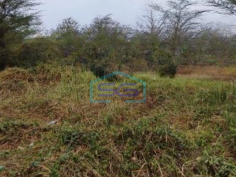 Dijual Tanah Luas 11000 m² Lokasi Bebas Banjir di Gresik Jawa Timur
