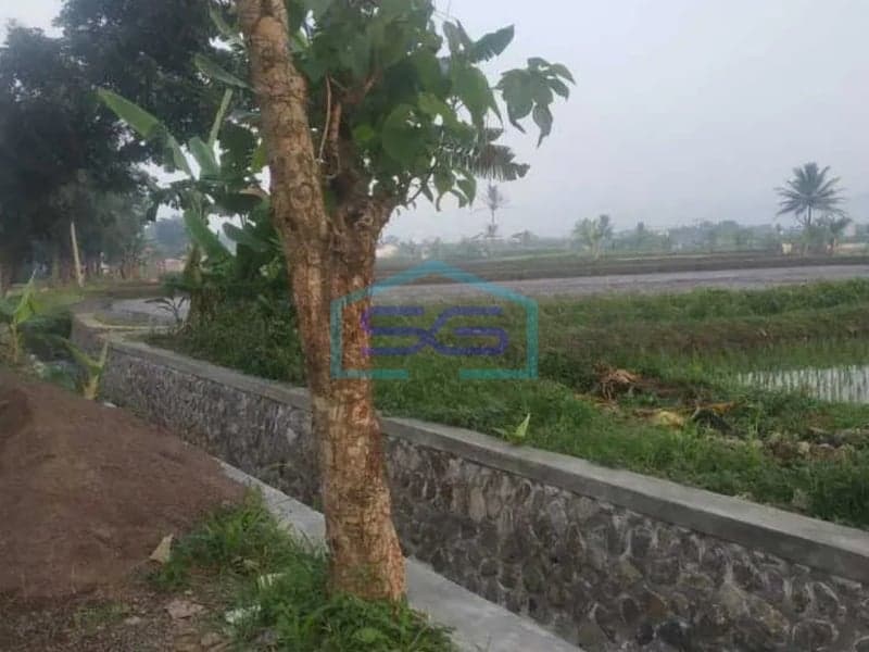 Dijual Tanah Strategis Cianjur Jawa Barat Luas Tanah 9875 m²