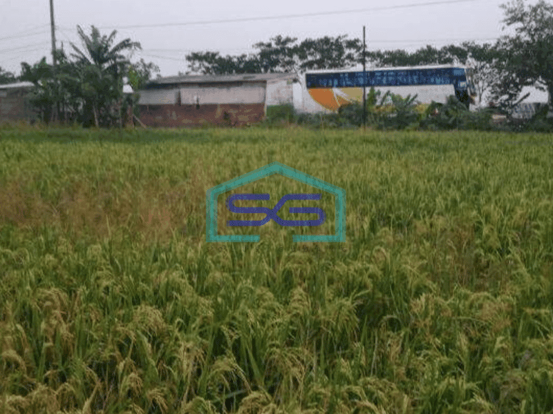 Dijual Tanah Komersil Zona Abu Abu Jalan Raya Mauk Tangerang SHM