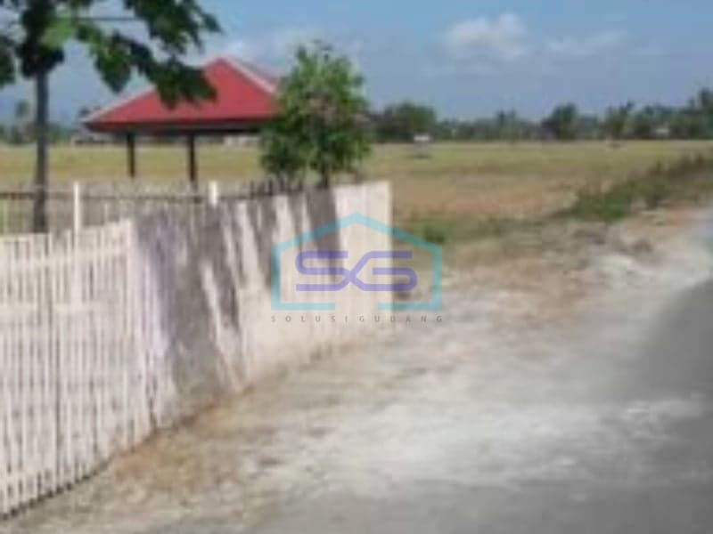 Dijual Tanah Luas 10000 m² Lokasi di Gorontalo Sertifkat SHM