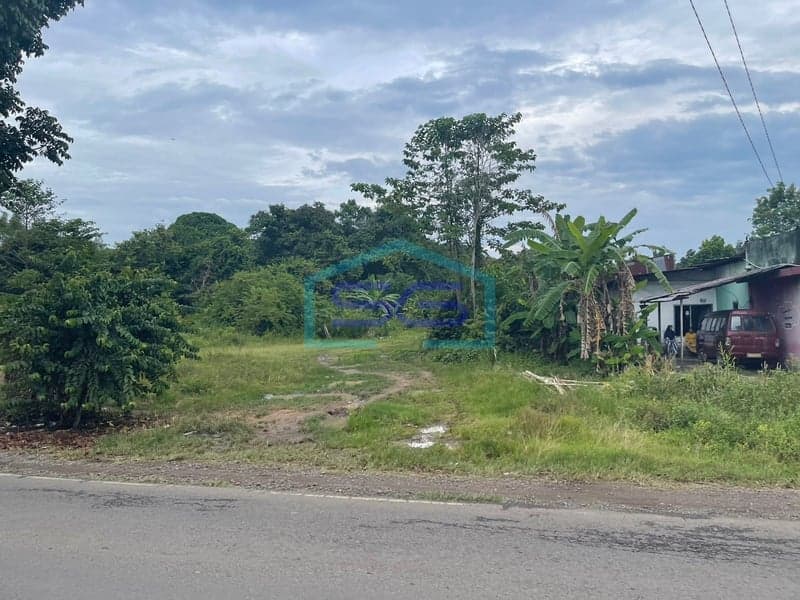 Dijual Tanah Keras Siap Bangun Lokasi di Area Sumatera Selatan Luas 2920m2