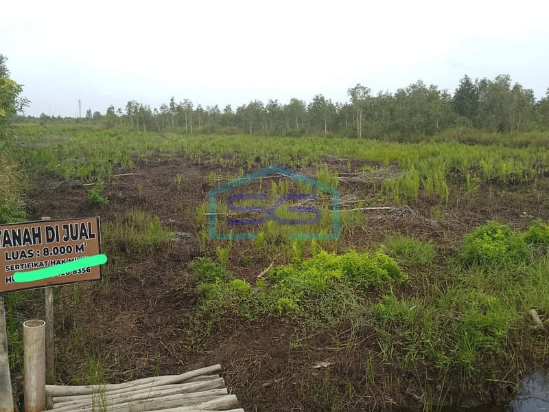 Dijual Tanah Padat/keras di South Sumatra Luas 8000m2
