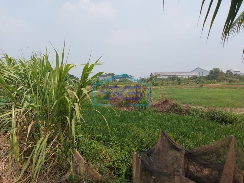 Dijual Tanah Murah Strategis di Ogan Ilir, Sumatera Selatan Luas Tanah 50425 m²