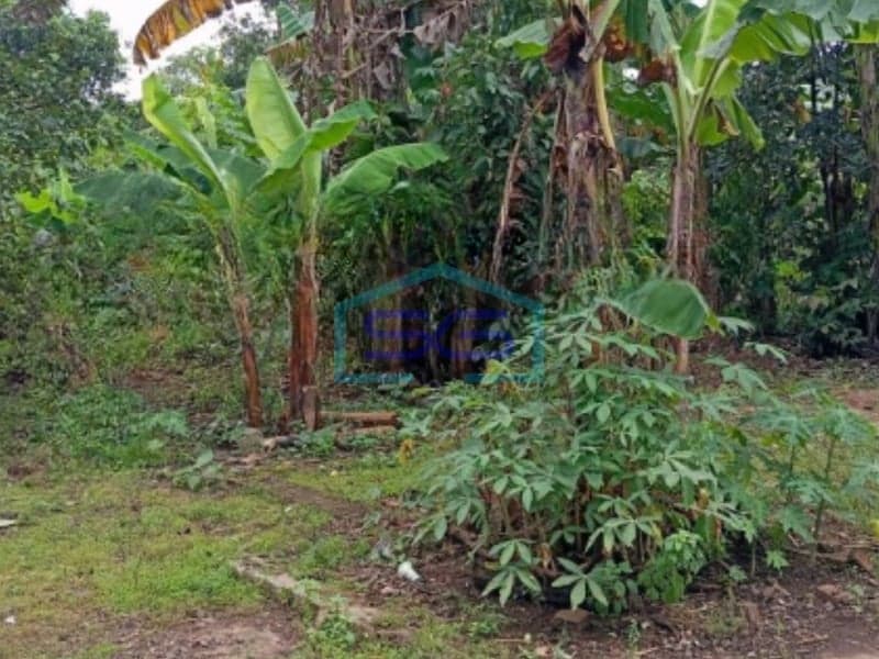Dijual Tanah Bebas Banjir Luas 3200 m² Lokasi di Tangerang