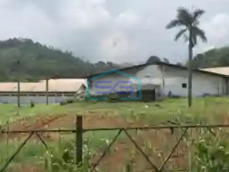 Dijual Pabrik Batang Jawa Tengah Luas Tanah 50000 m²