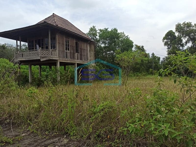 Dijual Tanah Keras di Sumatera Selatan Luas Tanah : 400 m2