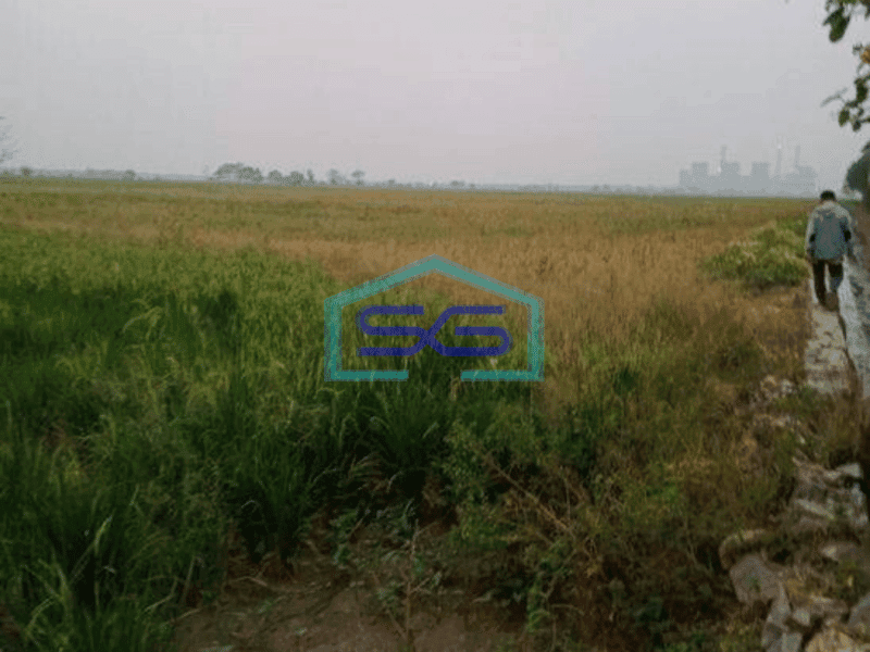 Dijual Tanah Komersil Zona Abu Abu Jalan Raya Mauk Tangerang SHM