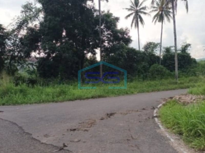 Dijual Tanah 2,5 H Dekat PLN Tanjung Merah Bitung Cocok Buat Gudang Matuari, Bitung Luas Tanah (PxL)  25000 m²